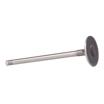 Впускной клапан Iveco 846021 846041 Евротраккер Евротех