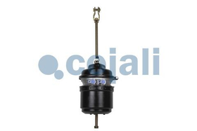 Энергоаккумулятор 20/30 MAN/Mercedes/Renault  9254394050 9254901010