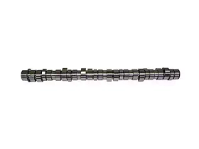 Распредвал  VOLVO FH13/FM13/FMX D13   Renault  Renault DXI13 20757636 7421110845