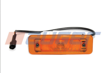 Указатель поворота MAN F2000