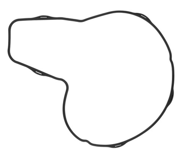 Прокладка водяного насоса  рено керакс премиум магнум VOLVO FH/FM/FMX 7421415427