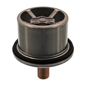 Термостат TH51287G1