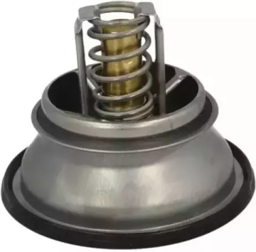 Термостат 76°С с прокладкойTHD 3 76