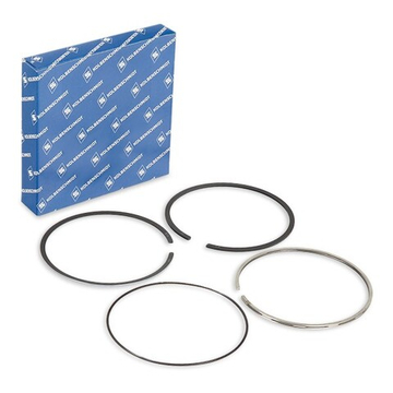 Кольца поршневые Ивеко Стралис мотор F3AE3681A-B