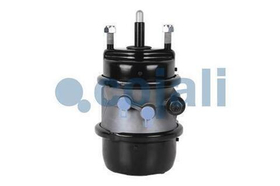 Энергоаккумулятор дисковых тормоз T18/24 BPW 0544442020 0544442010