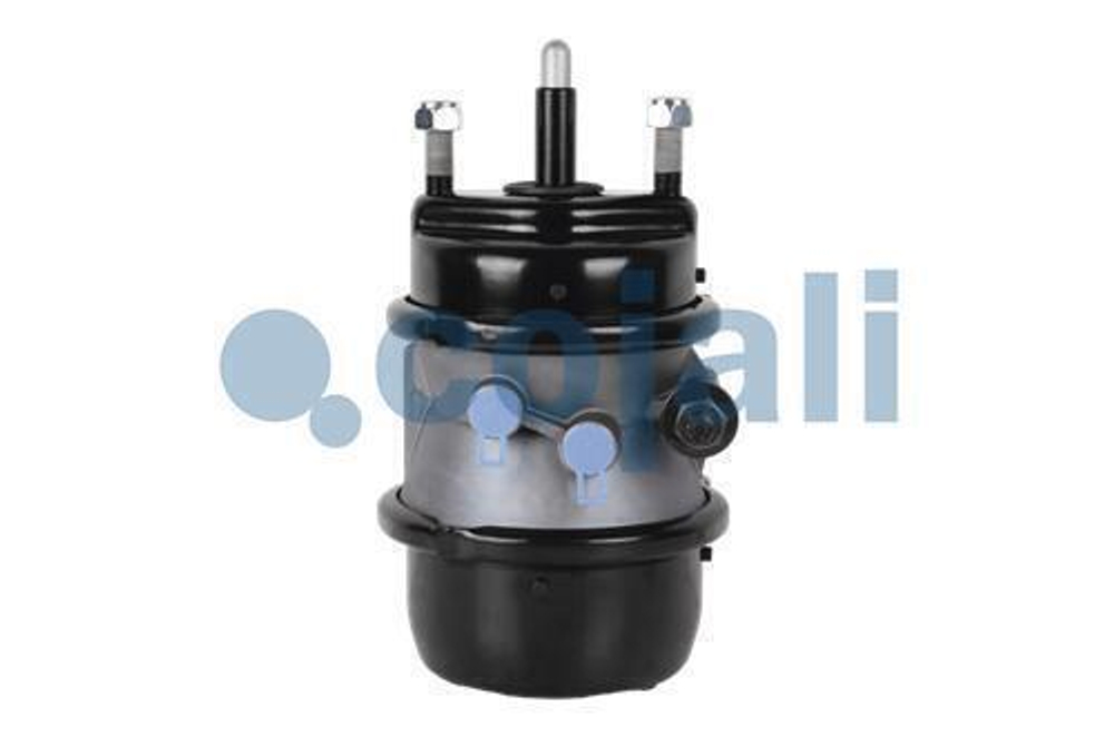 Энергоаккумулятор дисковых тормоз T18/24 BPW 0544442020 0544442010