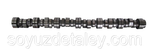 Распредвал Scania DC12.23/24/26 Scania R HPI 17306